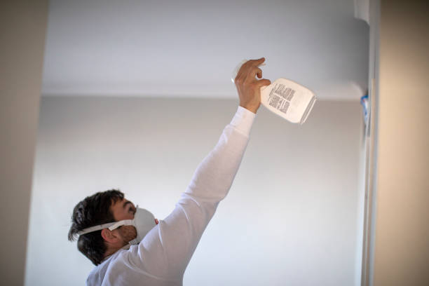 Attic Mold Removal in Pleasant Hill, CA