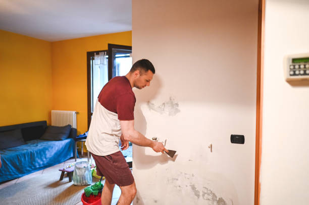 Best Emergency Mold Removal  in Pleasant Hill, CA